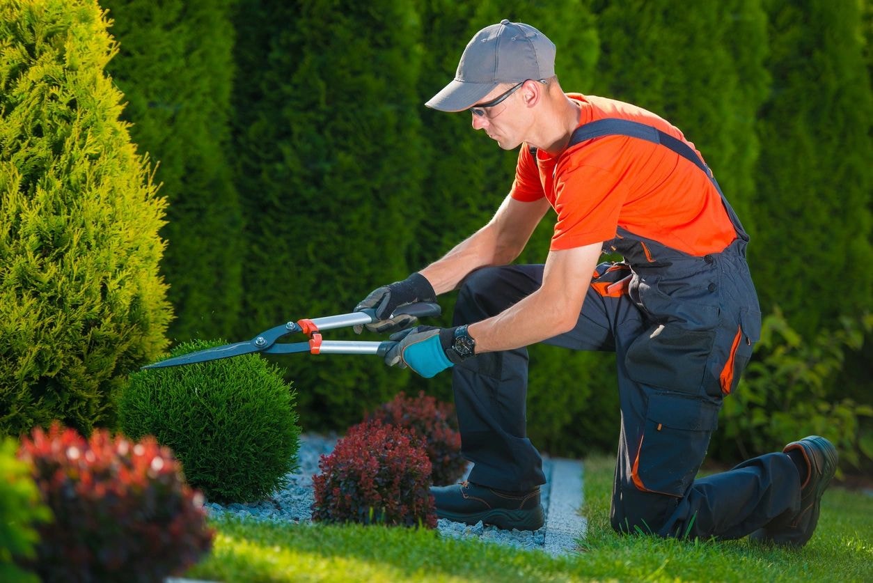 Matrix Services landscaping and grounds maintenance
